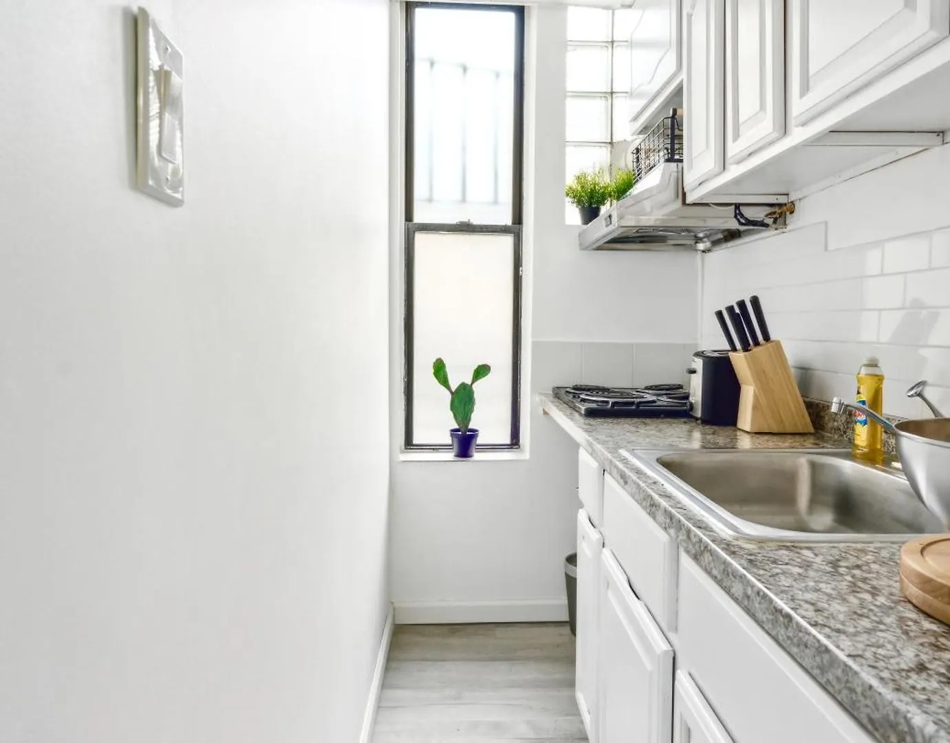Cozy 2 Bedroom Gem In Lower Manhattan W Big Living Room ニューヨーク 米国